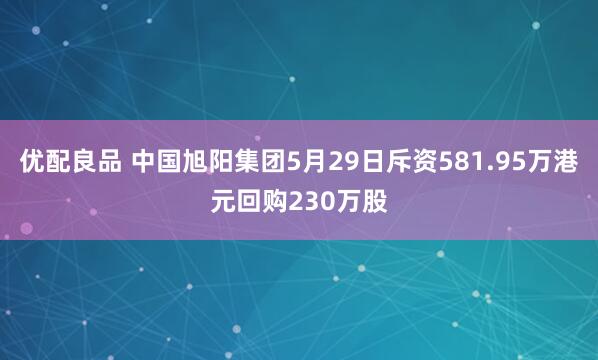 优配良品 中国旭阳集团5月29日斥资581.95万港元回购230万股