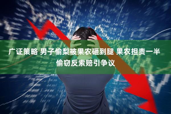 广证策略 男子偷梨被果农砸到腿 果农担责一半 偷窃反索赔引争议