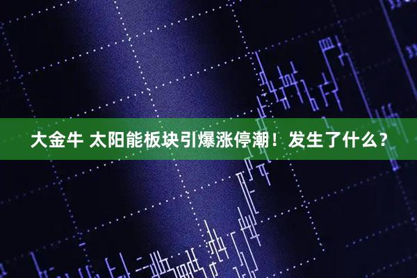 大金牛 太阳能板块引爆涨停潮！发生了什么？