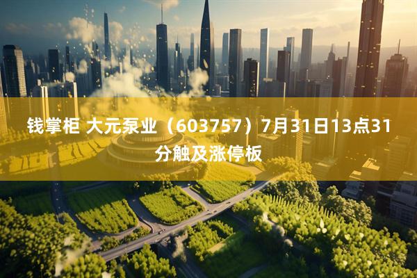 钱掌柜 大元泵业（603757）7月31日13点31分触及涨停板