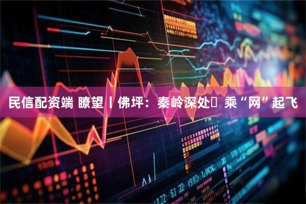 民信配资端 瞭望丨佛坪：秦岭深处 乘“网”起飞