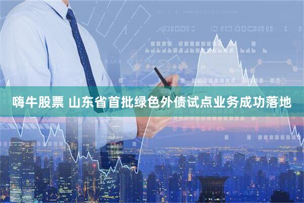嗨牛股票 山东省首批绿色外债试点业务成功落地