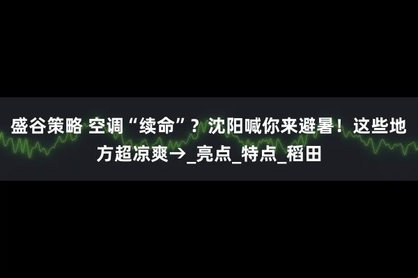 盛谷策略 空调“续命”？沈阳喊你来避暑！这些地方超凉爽→_亮点_特点_稻田